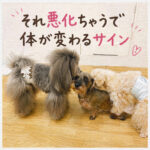 それ悪化ちゃうで体が変わるサイン