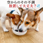 空からのその不調💦放置して大丈夫？