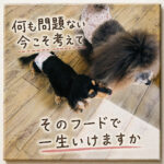 何も問題ない今こそ考えて！！そのフードで一生いけますか
