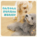 わんちゃんを守れるのはあなただけ