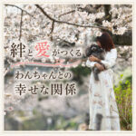 絆と愛がつくる！わんちゃんとの幸せな関係
