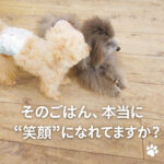 そのごはん、本当に“笑顔”になれてますか？