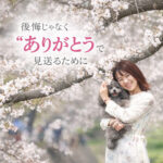 後悔じゃなく“ありがとう”で見送るために
