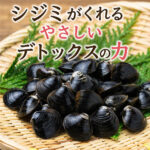 シジミがくれるやさしいデトックスの力