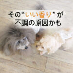 その“いい香り”が不調の原因かも