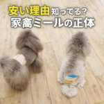 安い理由知ってる？家禽ミールの正体
