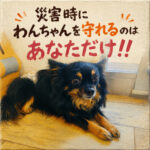 災害時にわんちゃんを守れるのはあなただけ！！