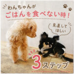 わんちゃんがごはんを食べない時！見直してほしい３ステップ