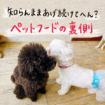 知らんままあげ続けてへん？ペットフードの裏側