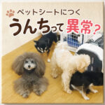ペットシートにつくうんちって異常？