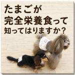 たまごが完全栄養食って 知ってはりますか？