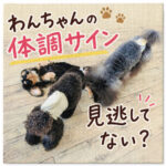 わんちゃんの体調サイン見逃してない？