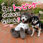 そのトッピングやめられなくなってへん？
