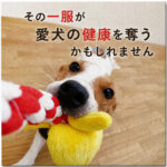 その一服が愛犬の健康を奪うかもしれません