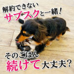 解約できないサブスクと一緒！そのごはん続けて大丈夫？