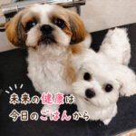 未来の健康は今日のごはんから