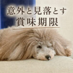 意外と見落とす賞味期限