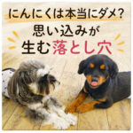 にんにくは本当にダメ？思い込みが生む落とし穴