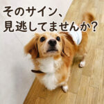 そのサイン見逃してませんか？