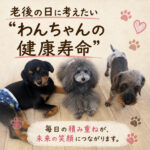 老後の日に考えたい”わんちゃんの健康寿命”