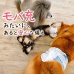 モバ充みたいに、あると安心な備え
