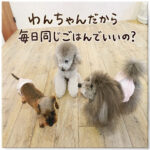 わんちゃんだから毎日同じごはんでいいの？