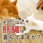 そのごはん、肝臓は喜んでますか？