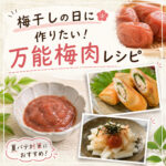 梅干しの日に作りたい！万能梅肉レシピ
