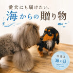 愛犬にも届けたい海からの贈り物
