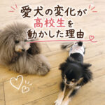 愛犬の変化が高校生を動かした理由