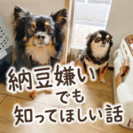 納豆嫌いでも知ってほしい話