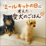 ミールキットの日に考えた愛犬のごはん