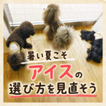暑い夏こそアイスの選び方を見直そう