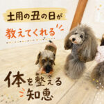土用の丑の日が教えてくれる体を整える知恵
