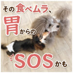 その食べムラ胃からのSOSかも