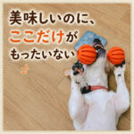 美味しいのに、ここだけがもったいない
