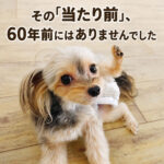 その「当たり前」60年前にはありませんでした