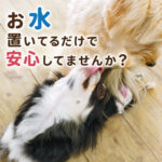 お水置いてるだけで安心してませんか？