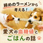 締めのラーメンから考える！愛犬の血糖値とごはんの話