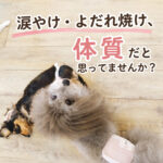涙やけ・よだれ焼け体質だと思ってませんか？