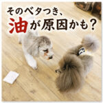そのベタつき、油が原因かも？