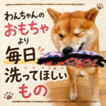わんちゃんのおもちゃより毎日洗ってほしいもの
