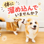 体に溜め込んでいませんか？