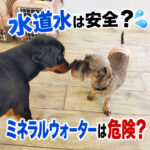 水道水は安全？ミネラルウォーターは危険？