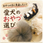 おやつの日に見直したい！愛犬のおやつ選び