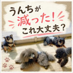 うんちが減った！これ大丈夫？