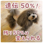 遺伝50％！残り50％は変えられる