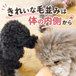 きれいな毛並みは体の内側から