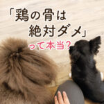 「鶏の骨は絶対ダメ」って本当？