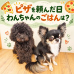 ピザを頼んだ日わんちゃんのごはんは？